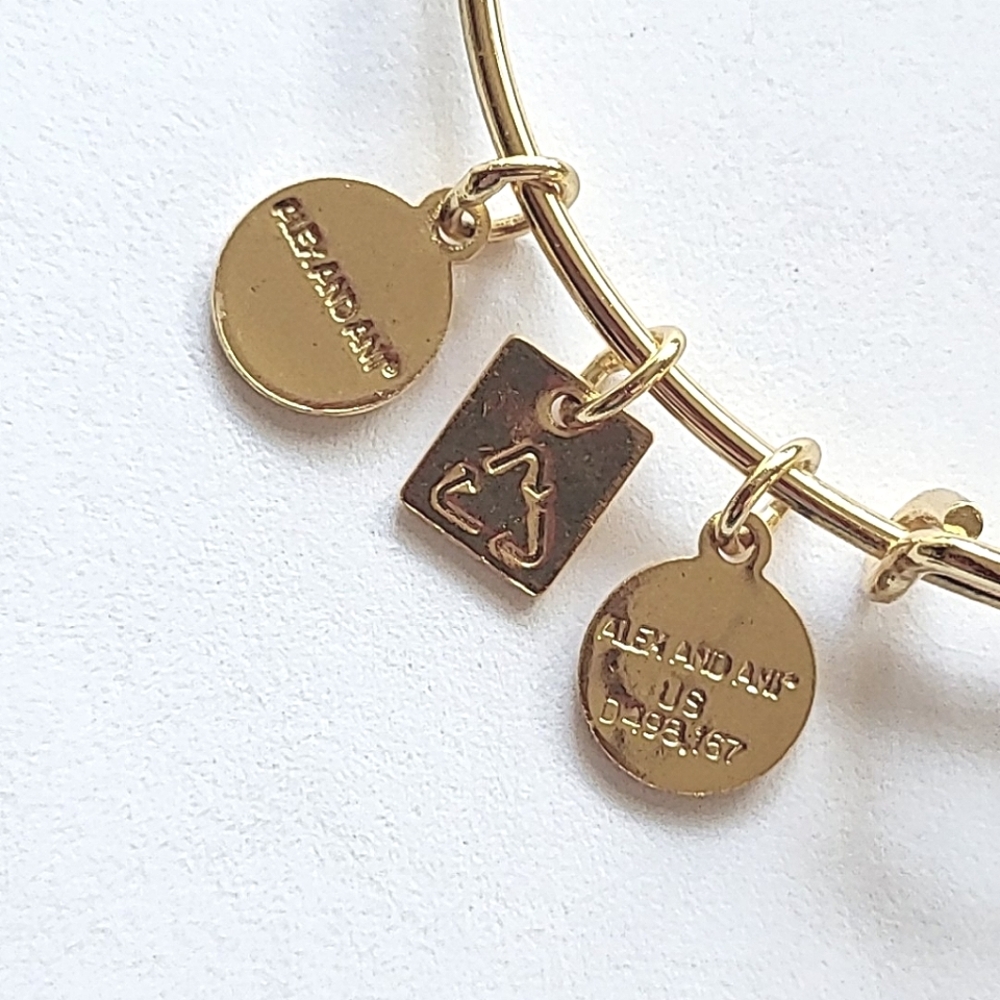 ALEX AND ANI "ARROWS OF FRIENDSHIP" BANGLE BRACELET - Picture 6 of 7